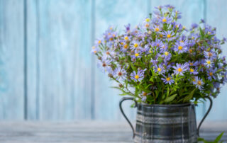 Nieuwsbrief april 2024